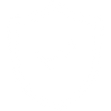 Secure checkout icon